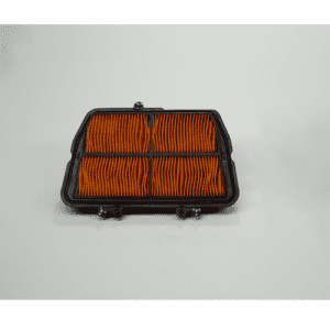 FILTRO AIRE TIGER 800/TIGER 800 XC